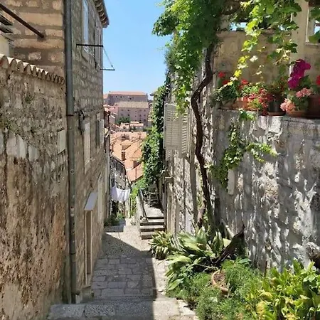 Apartment House Marija In Old Town Dubrovnik