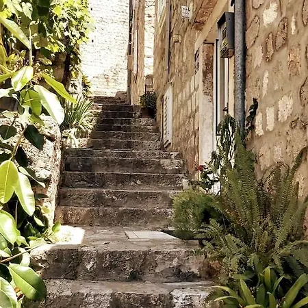 Apartment House Marija In Old Town